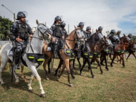 Cavalaria da Polícia Militar lança Operação Centauro em Cuiabá_6626b1d85d8c6.jpeg